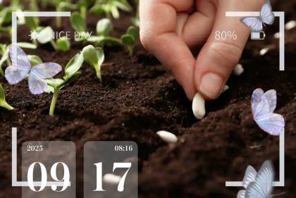 不要介入他人因果