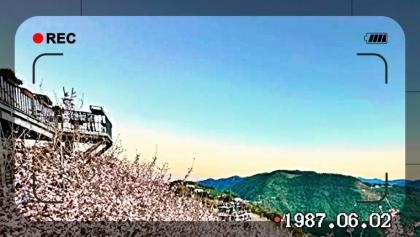 永遠不要算計別人