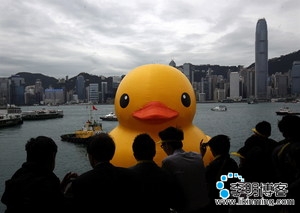 巨型鸭仔 巨型鸭仔