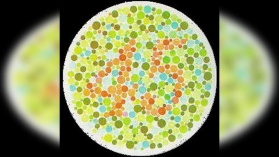 你有沒色盲？欢迎测试