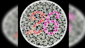 你有沒色盲？欢迎测试