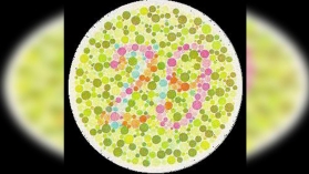 你有沒色盲？欢迎测试