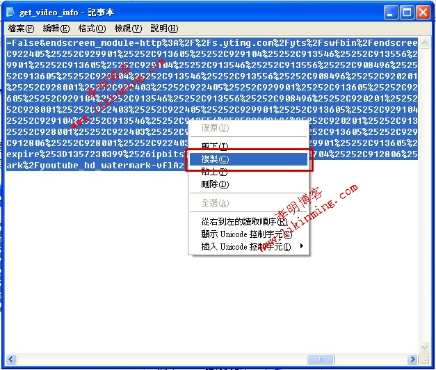 怎样下载youtube影片