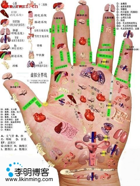 手穴图 手穴图